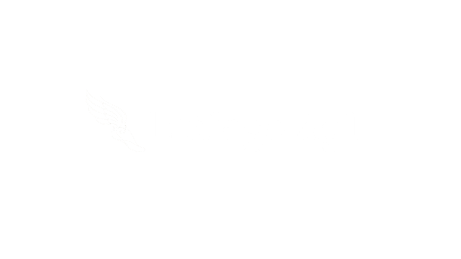 Tráfego Ágil